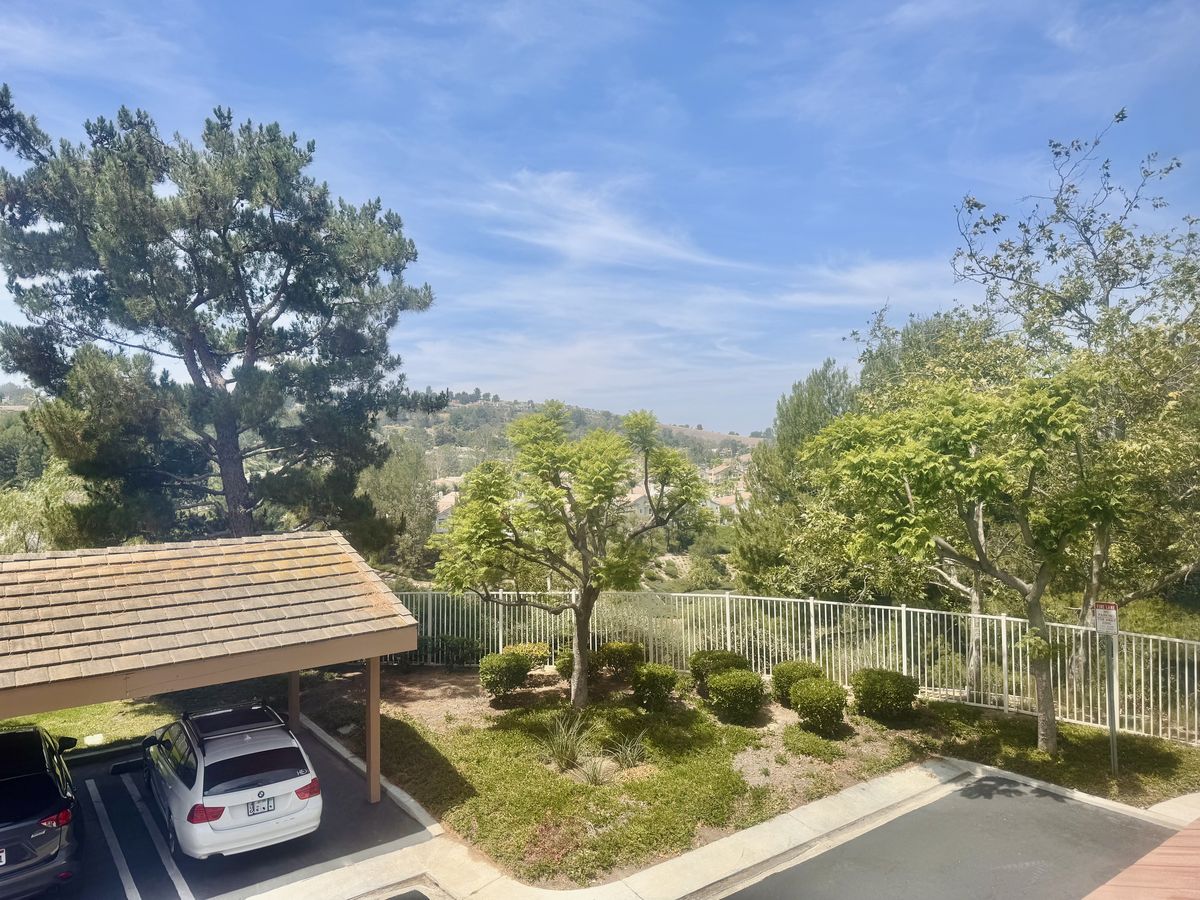 Hillside view from the home